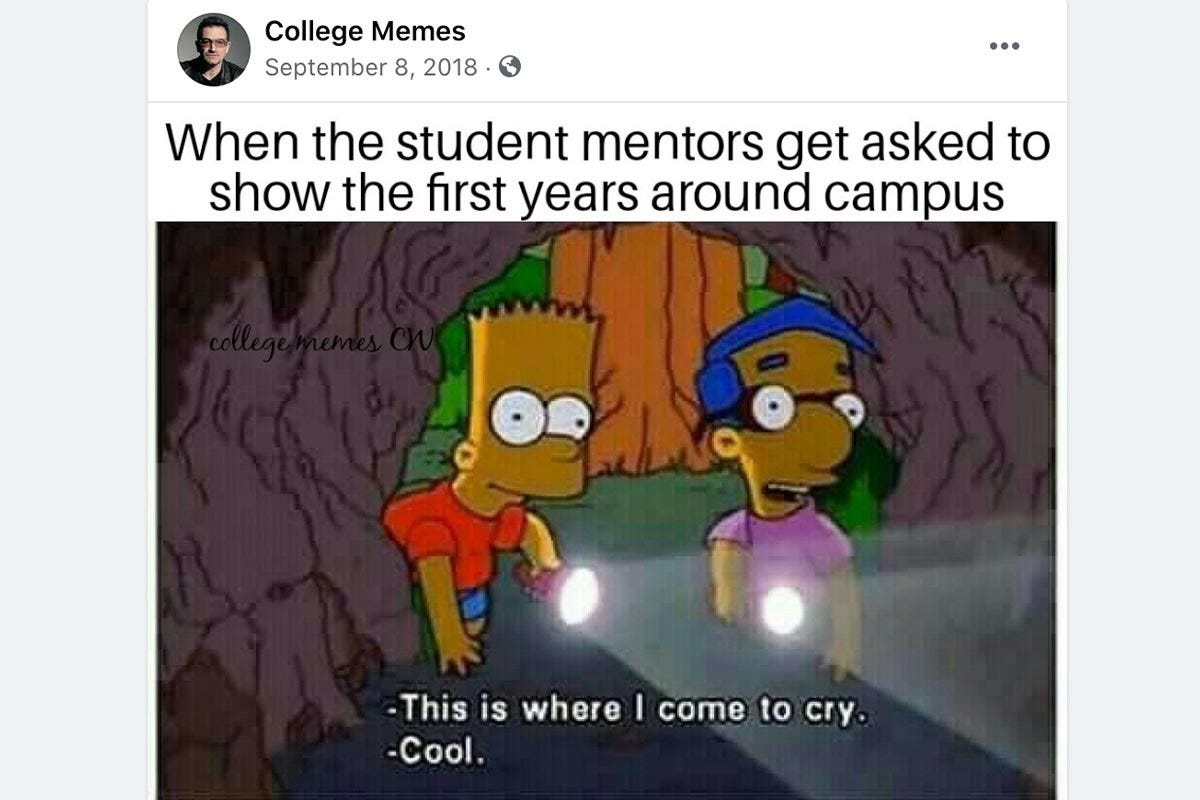 16 College Memes Every Student Will Recognize | Article | Adultist