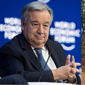 Meanwhile: UN Calls for Public to Live in Mud Huts to Meet ‘Net Zero’ Goals