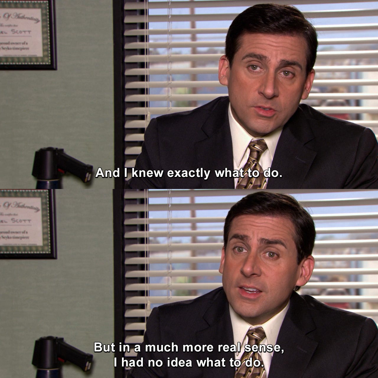 And I knew exactly what to do. But in a much more real sense, I had no idea  what to do. | The Office | TVgag.com