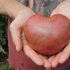 In Pursuit Of An Antidote For Corporate Parasites And Charting A Path Towards A Brighter Future