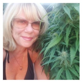 A selfie of author NorCalWeedGal in her cannabis garden
