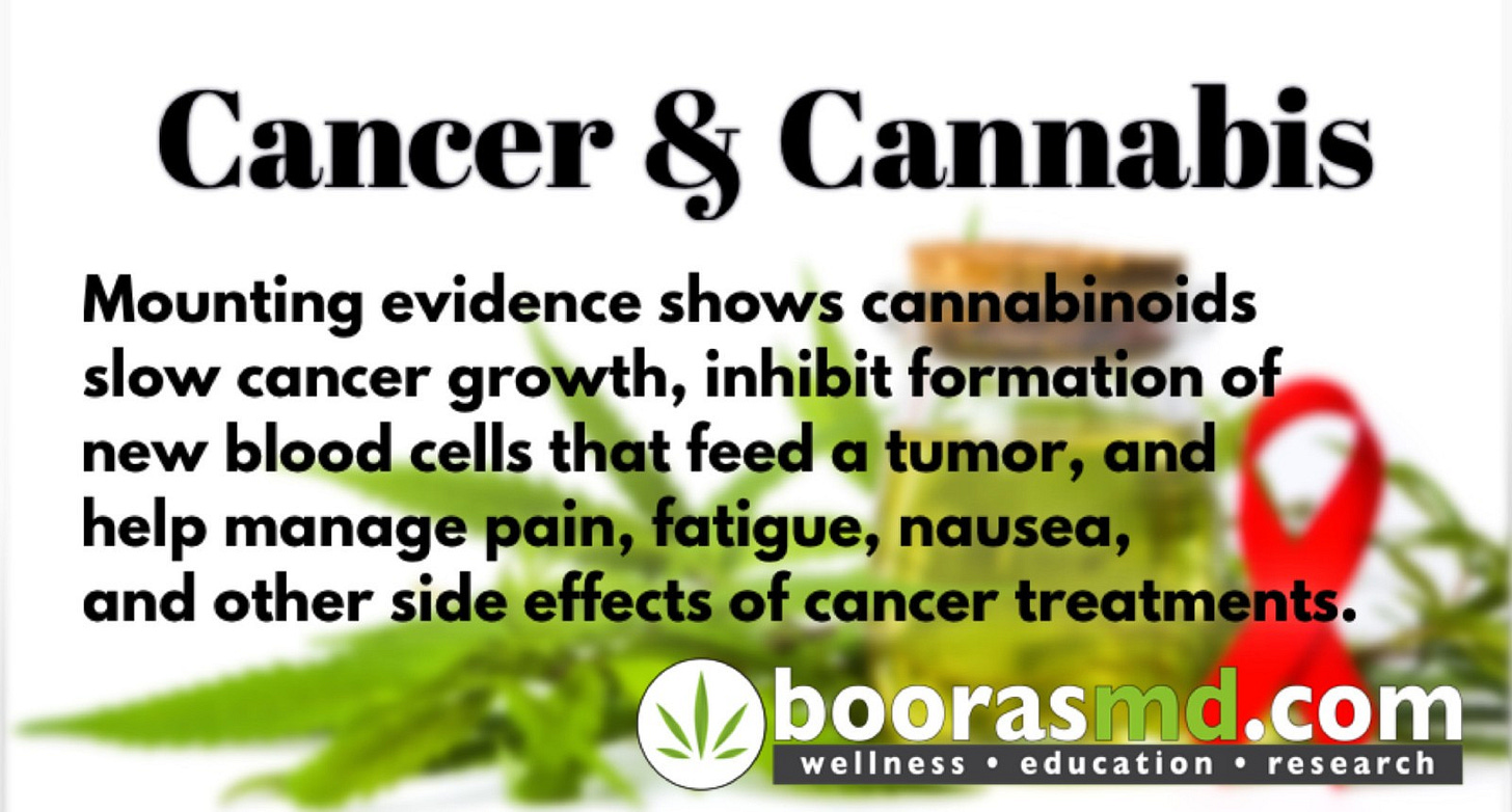 Cancer and Medical Marijuana (Cannabis) – BoorasMD Cannabis Wellness