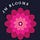 JM Blooms | Thrillers, Nature, Curiosity