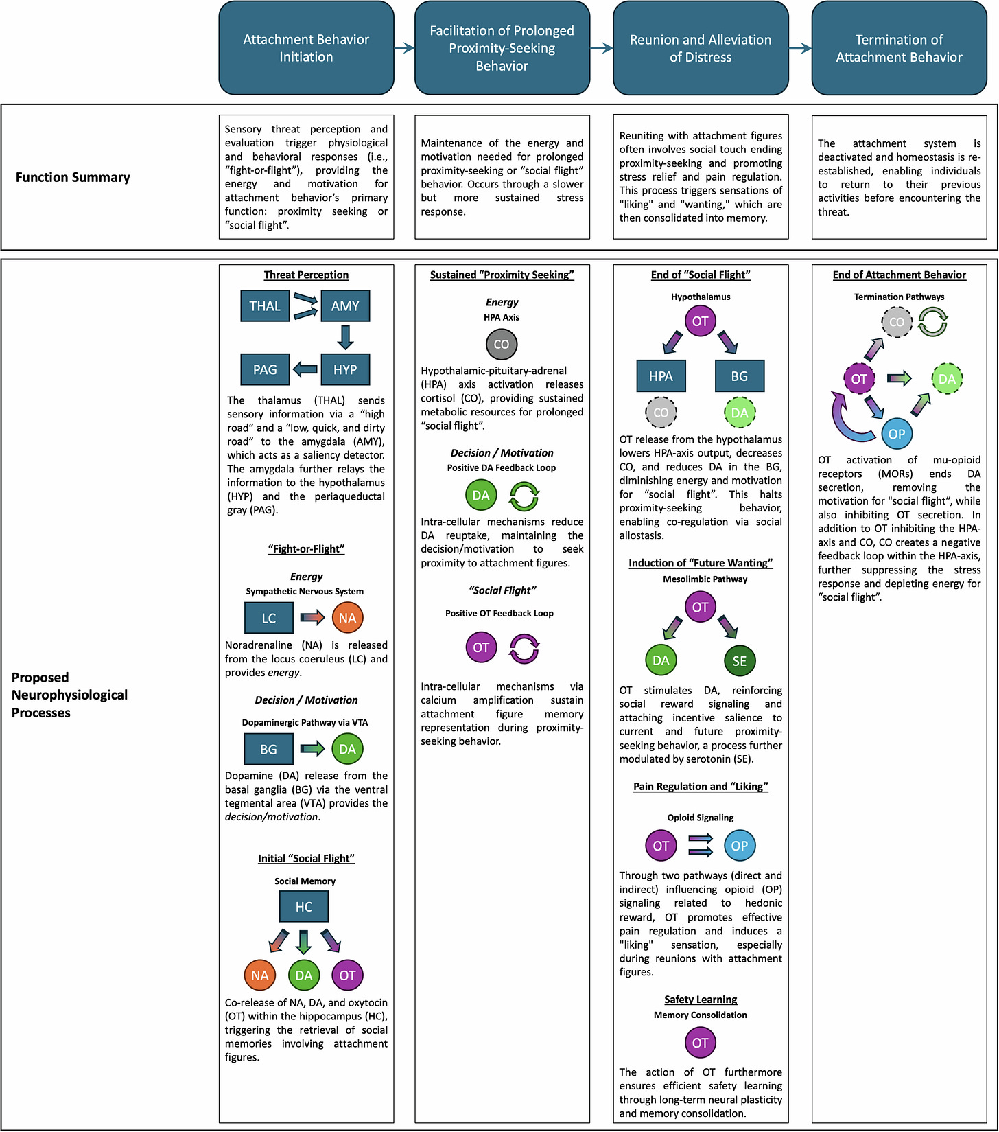 Fig. 1: The proposed cascading sequence of neurobiological events in attachment behavior.