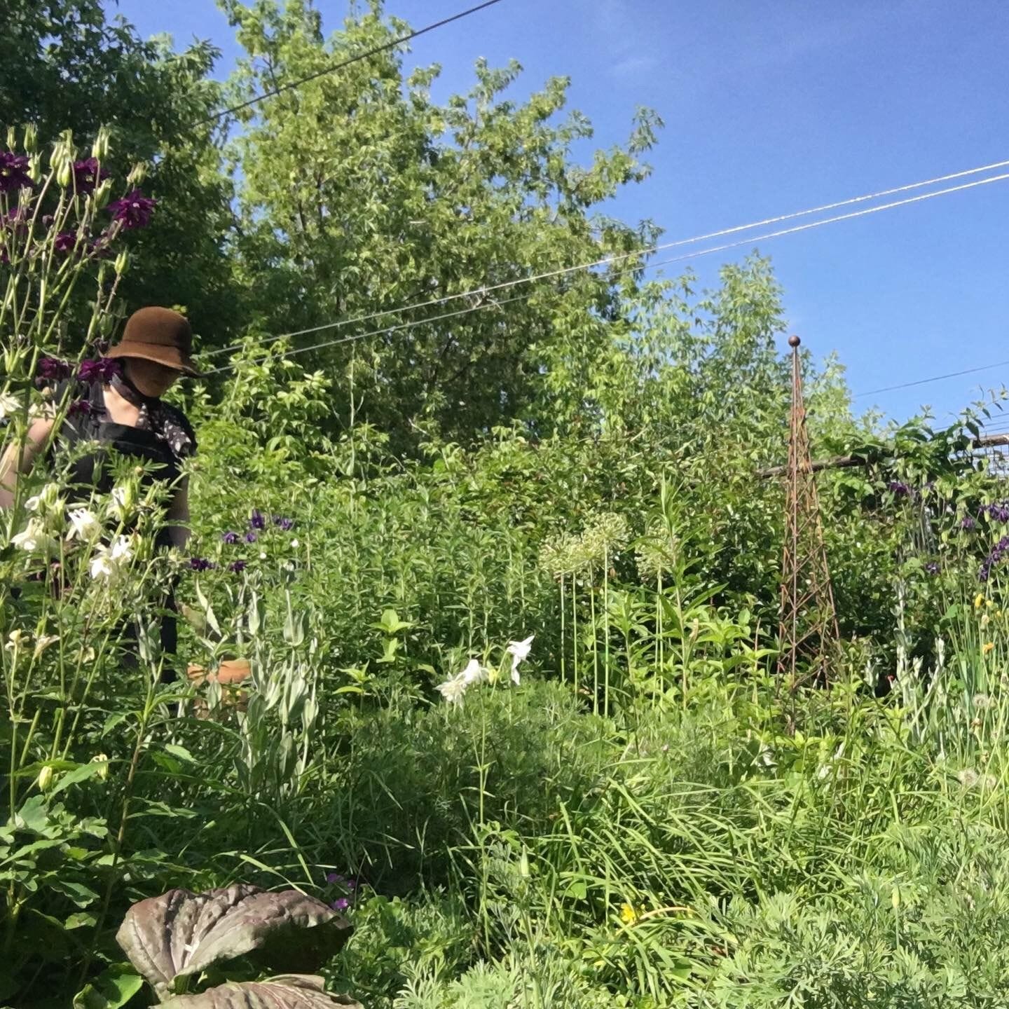 Gayla in her wild garden