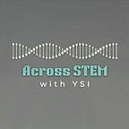 Everything YSI