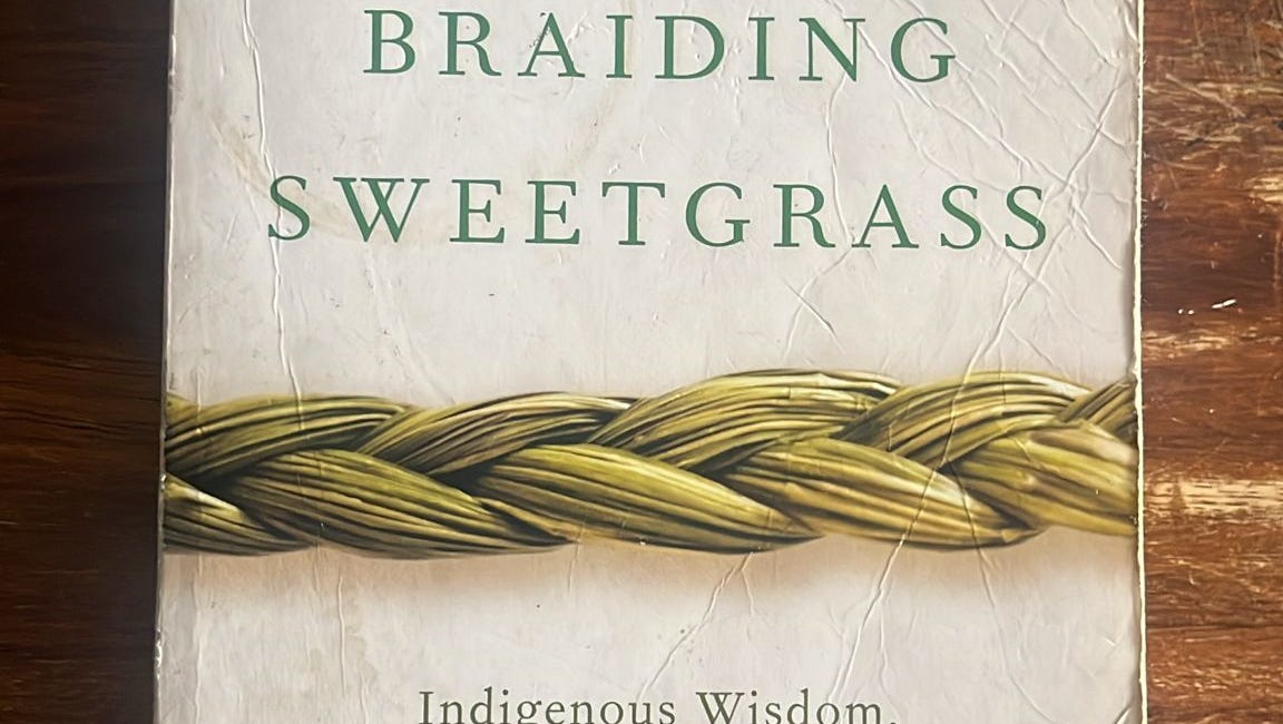 Community Reads: Chimamanda Ngozi Adichie, Melissa Broder, Ottessa Moshfegh & more