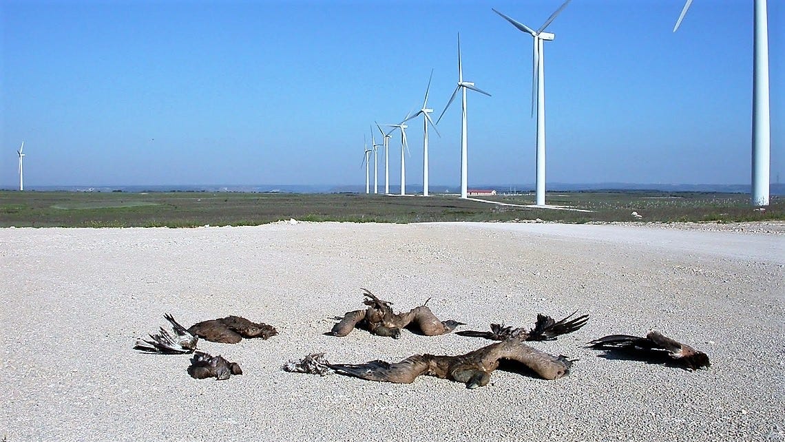 Wind Turbines: Threat to National Treasure of the Great Lakes | Share ...