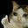 R4YLU's avatar