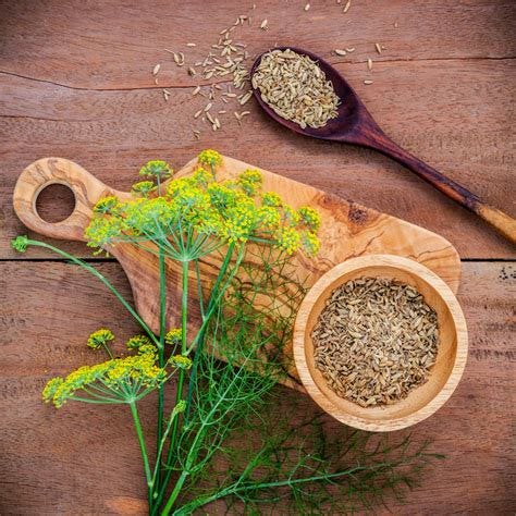 Pin on Fennel Seeds
