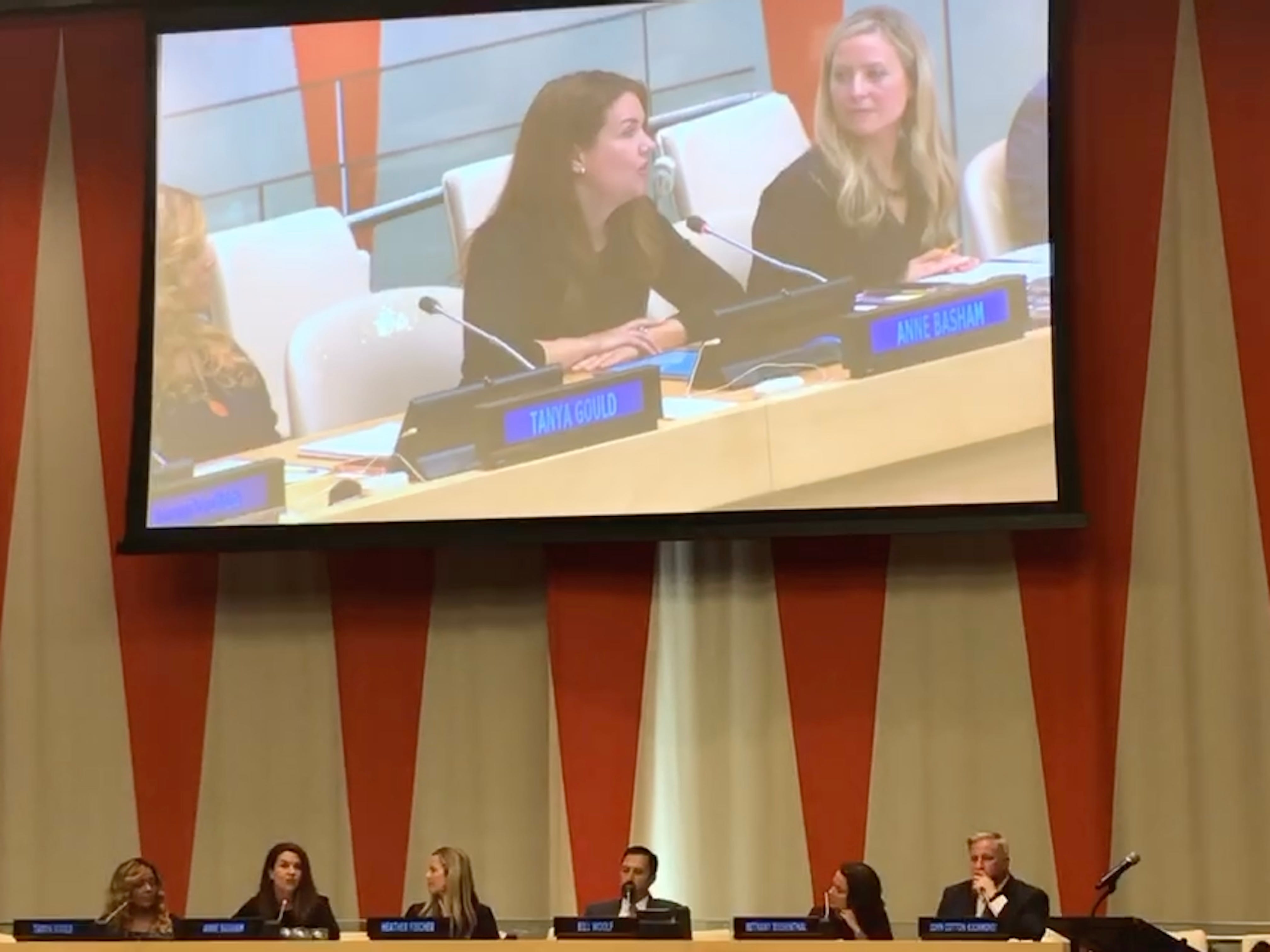 Anne testifying at the United Nations