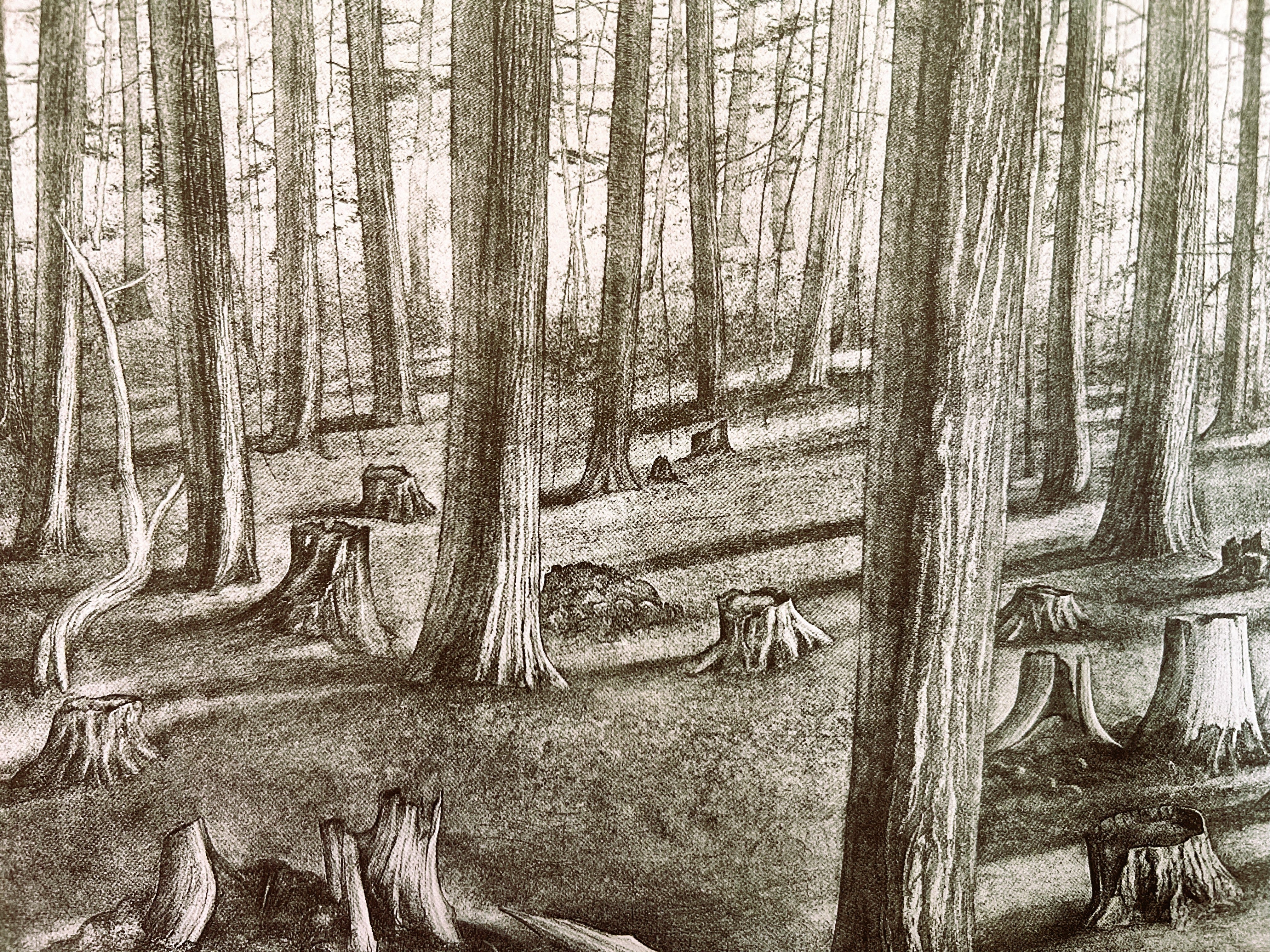 The Language of Landscapes - by Kirk Gordon