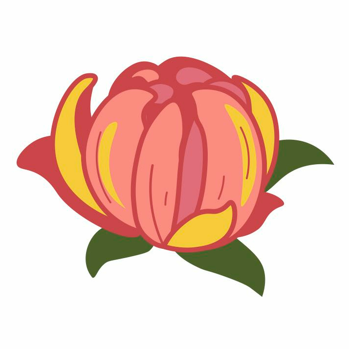 The Reverse Prediabetes with Plants Letter