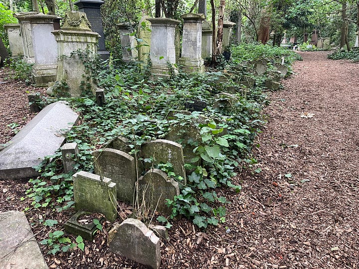 Rows of tiny headstones pressed up against each other