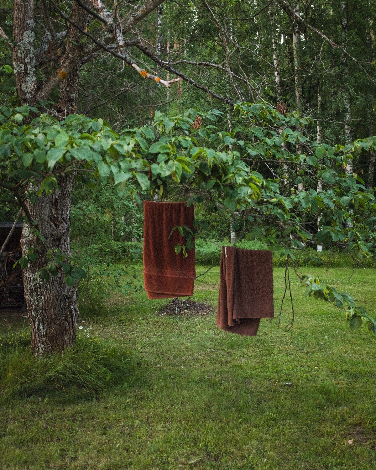 towels drying on a tree