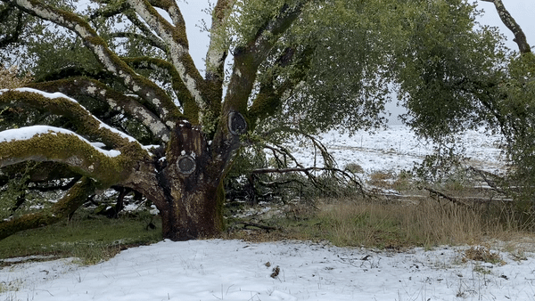 [video-to-gif output image]