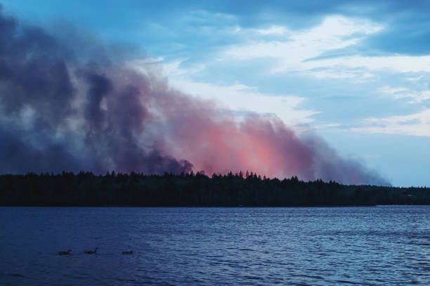 distant forest fire - canada wildfires stock pictures, royalty-free photos & images
