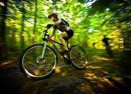 Focus on the ride, not on not falling! Focus on the ride, not on not falling!