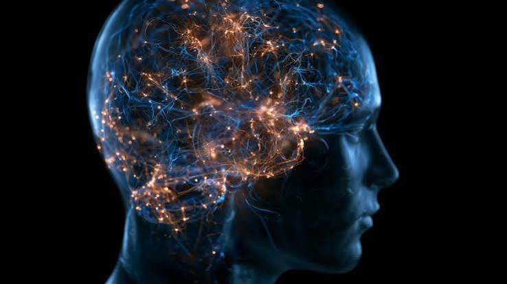 Scientists discover a major brain shift between ages 50 and 75 | ScienceDaily