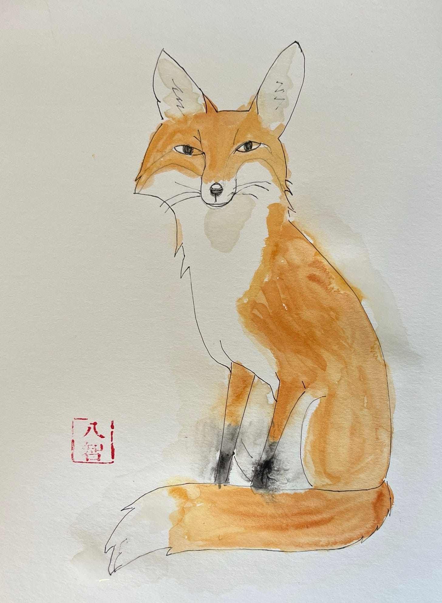 Line drawing of a red fox sitting with tail wrapped in front of legs, looking directly at viewer, watercolor tints added. Red signature stamp (to show it's my original artwork) in the lower left corner.