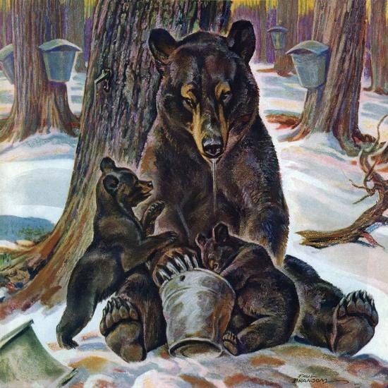 No photo description available.