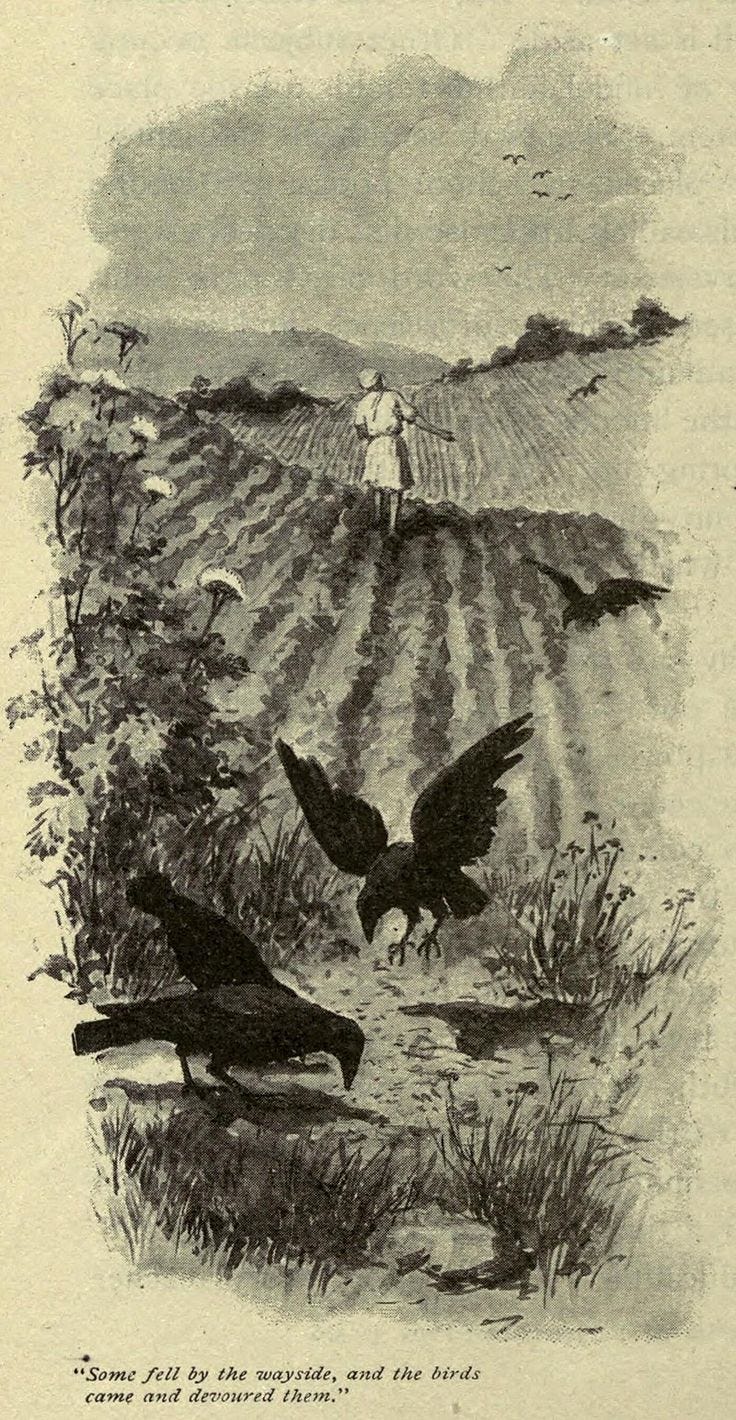 This may contain: an old illustration of two birds flying over a field