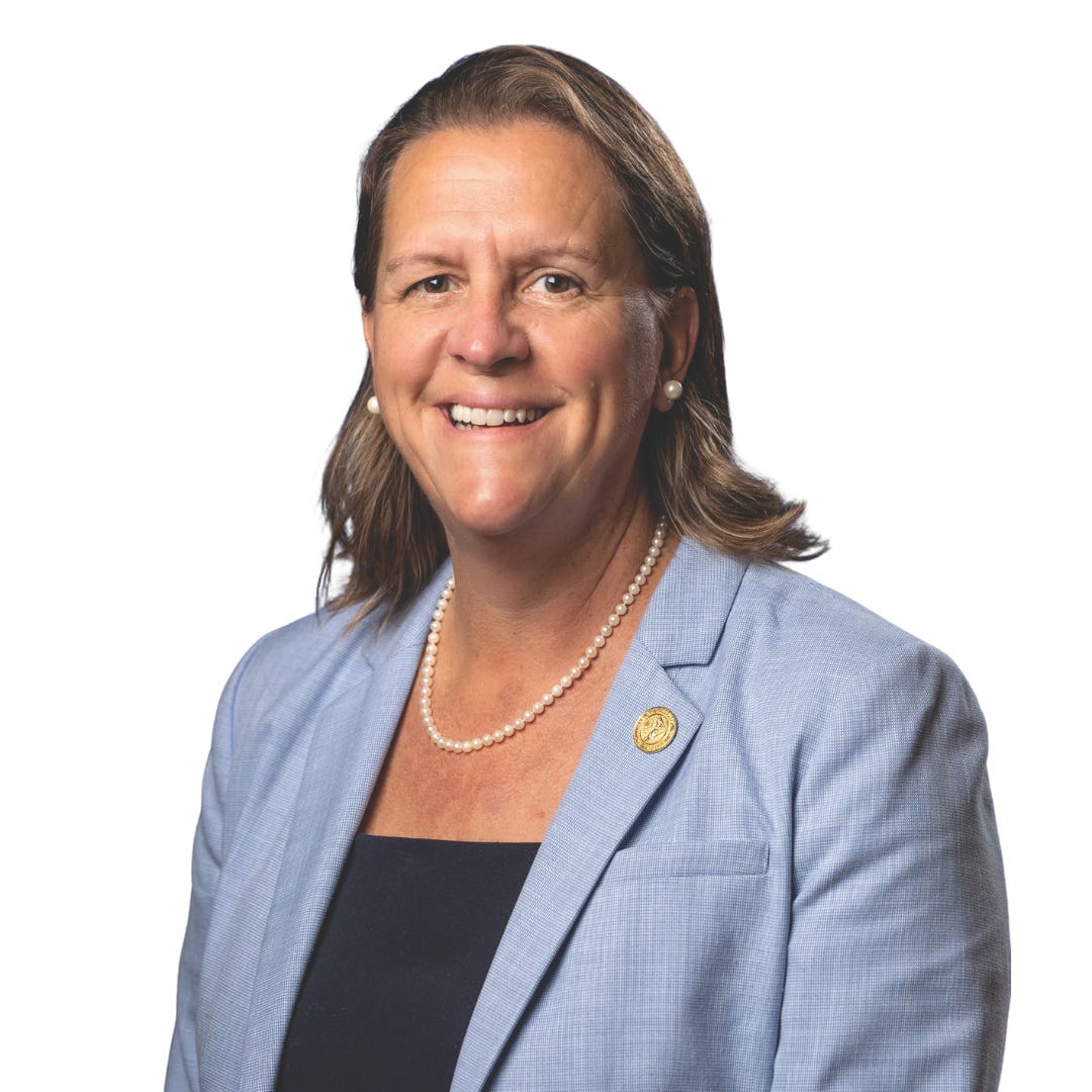 Artwork for Rep. Tonya Pfaff’s Newsletter