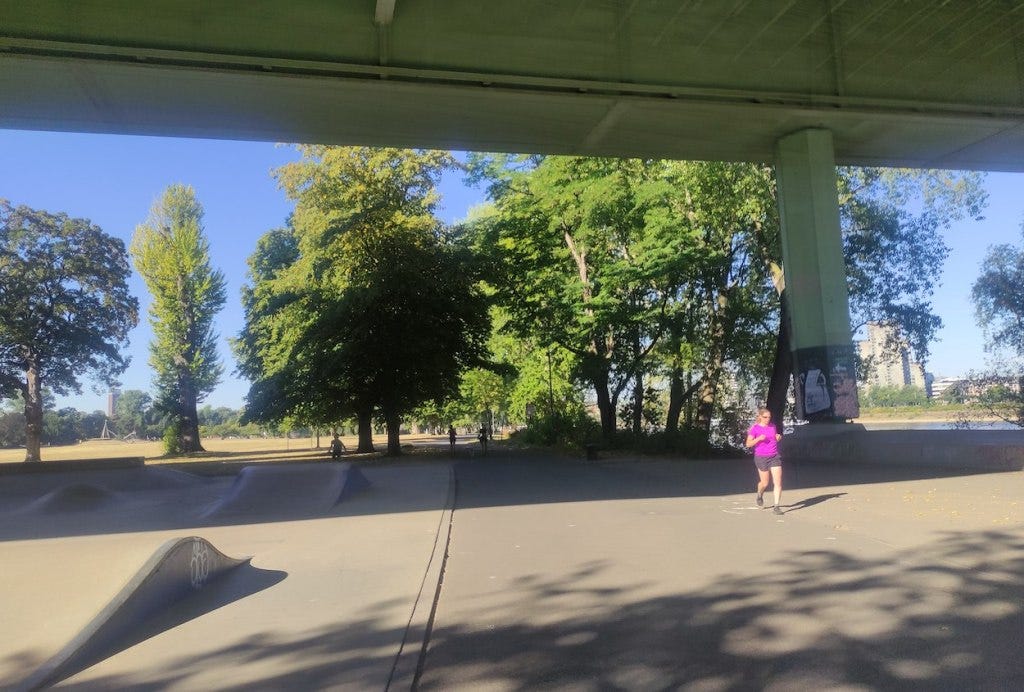 The Zoobrücke is a concrete bridge, high above the wide tarmacced path here. A skatepark os on the left, and trees are dotted around by the sides of the path