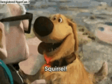 Love At First Sight GIF - Dug Up Pixar Up - Discover & Share GIFs