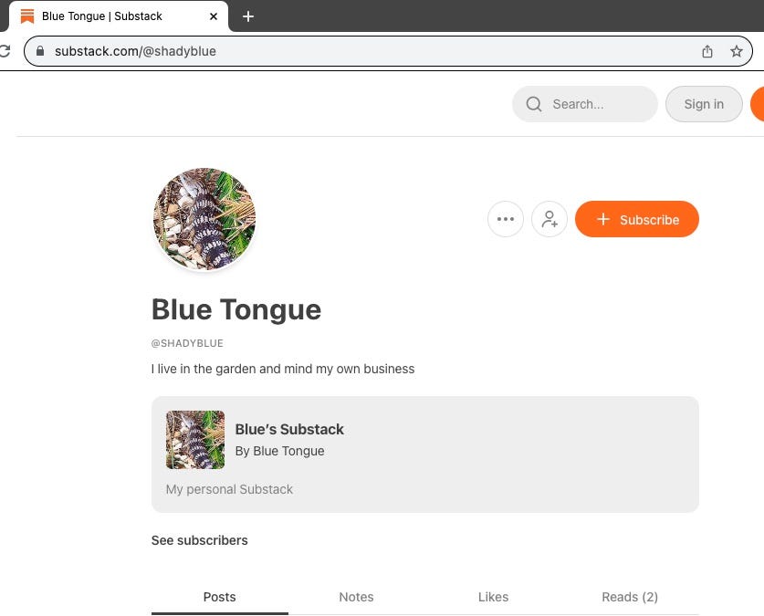 Substack Sign In Account Your Substack Account, Profile, and Handle