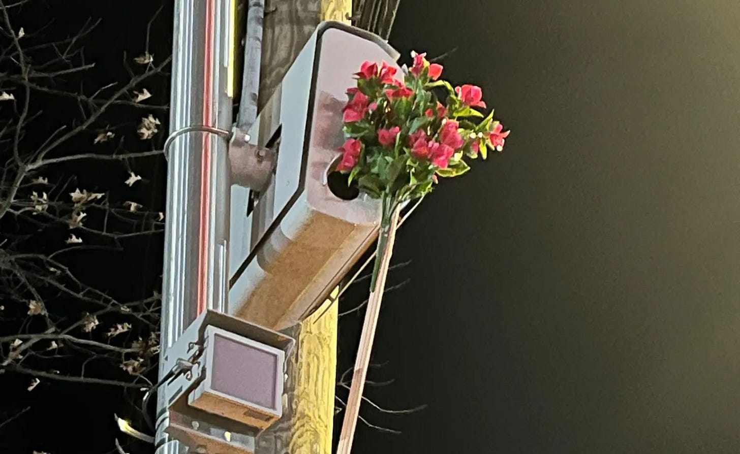 LoBaido's Flower Power