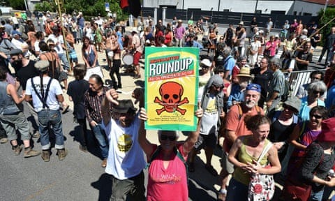 Some European countries are blocking the attempt to give glyphosate a new 10-year licence. Some European countries are blocking the attempt to give glyphosate a new 10-year licence.