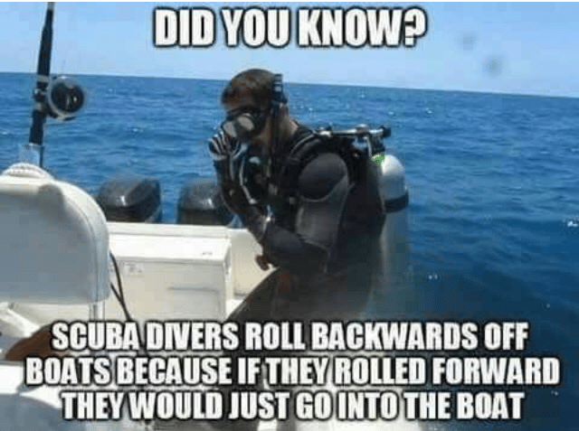 The Best Scuba Diving Jokes | DOWN TO SCUBA