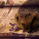 Pepita P. Brown – il significato di una lettera 🌸