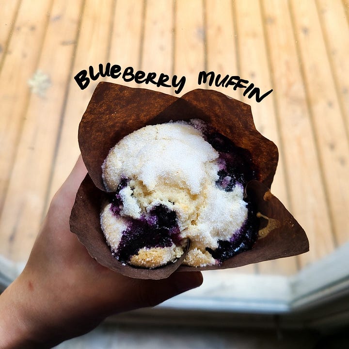 Wentworth & Fenn Blueberry muffin