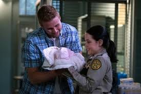 Nope, not a guinea pig...