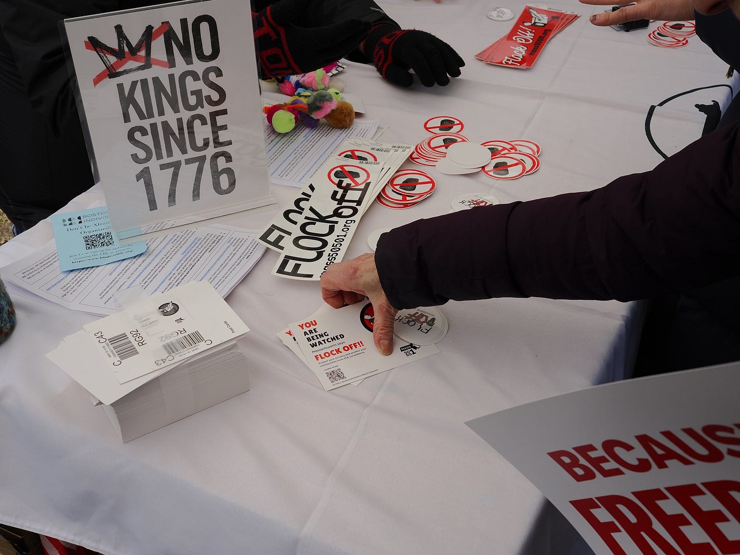 Table filled with signs, stickers, and flyers that say Flock Off at a Mass 50501 table.