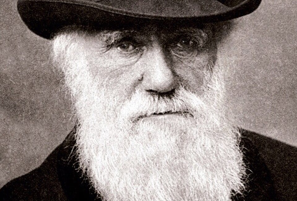 Why Consciousness Science Needs Darwin