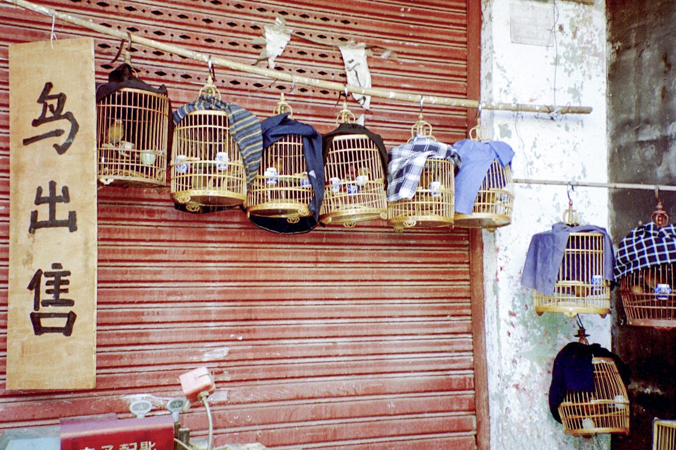 A row of covered birdcages hangs outside a closed storefront in China. The cages are draped with cloth and arranged against a weathered metal shutter, creating an atmosphere of quiet tension and controlled stillness.