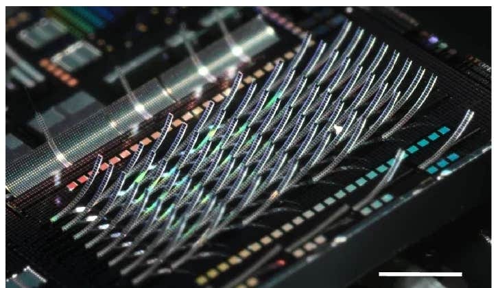 MIT-led researchers built photonic “ski jumps” that beam light off chips for displays, LiDAR, 3D printing, and quantum computing. MIT-led researchers built photonic “ski jumps” that beam light off chips for displays, LiDAR, 3D printing, and quantum computing.