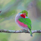 OK, Viktor. Tabs, Tues., March 31, 2026