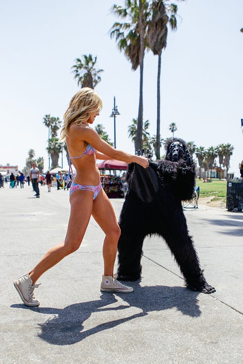 Barbara Palvin and Ashley Hart on set, laughing and posing with a gorilla suit—pulling it on, peeling it off, and mixing fashion with absurdity during the Mambo Goddess campaign shoot.