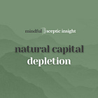 Natural Capital Depletion