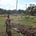 Food Forests Chattanooga's avatar