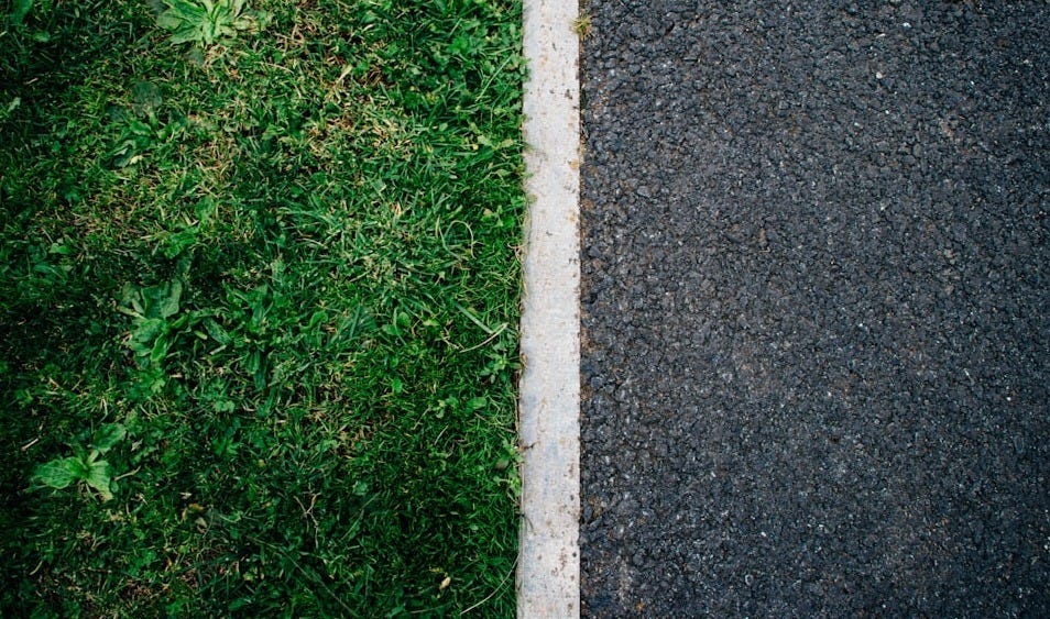 green grass near the gray road
