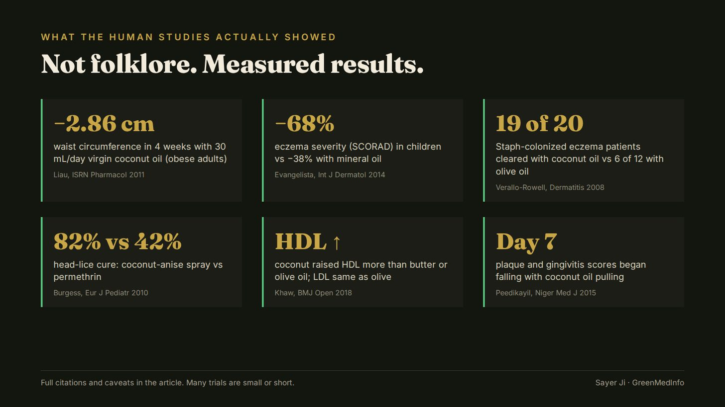 The human data, in one image.