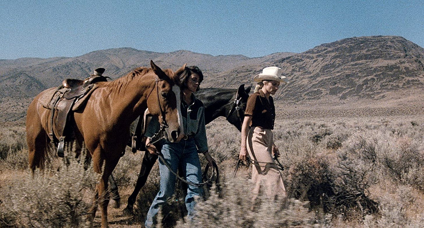 Desert Hearts: Amazon.ca: Donna Deitch, eOne, Patricia Charbonneau, Helen  Shaver: Movies &amp;amp; TV Shows