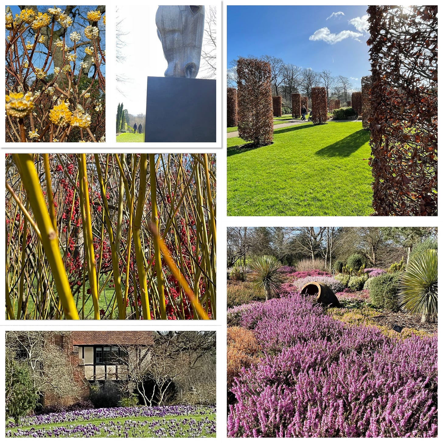 February chill at RHS Wisley