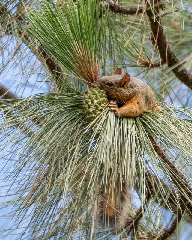 20240623-AZYBC-164-Edit.jpg 20240623-AZYBC-164-Edit.jpg