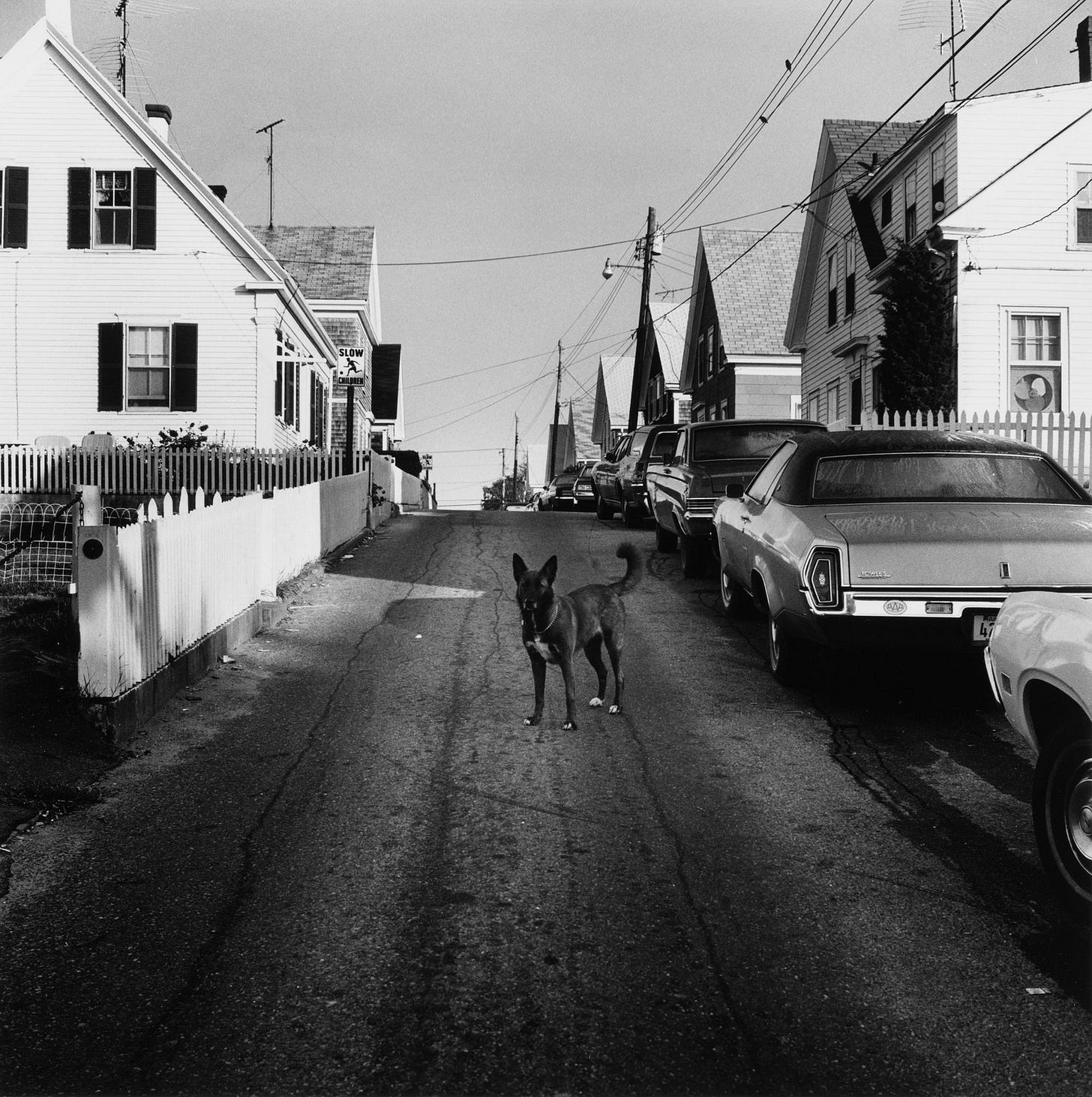 Image may contain Car Vehicle Transportation Automobile Neighborhood Urban Building City Street Road and Town